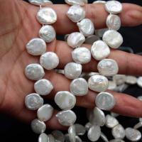 Perlas Moneda Freshwater, perla, Forma de botón, natural, Bricolaje, Blanco, 12mm, Vendido por Sarta