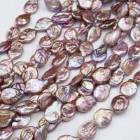 Perlas Keishi Cultivadas de Agua Dulce, perla, Irregular, natural, Bricolaje, Púrpura, 15-20mm, Vendido por Sarta