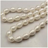 Perles de coquille de mer, coquillage, baroque, Placage, DIY, blanc, 13*17MM, Vendu par brin