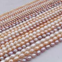 Rice Cultured Freshwater Pearl Beads, DIY  2-9mm 