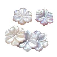 Natural Freshwater Shell Beads, Flower, Carved, DIY 14mm 