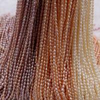 Rice Cultured Freshwater Pearl Beads, Ellipse, natural, DIY 2-3mm cm 