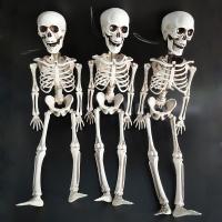 пластик Череп украшения, Скелет, литье под давлением, Хэллоуин ювелирные изделия, белый, 400*120*55mm, продается PC