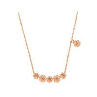Titanium Steel Jewelry Necklace, portable, rose gold color, 42+5CM uff0c 