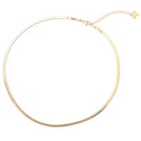 Titanium Steel Jewelry Necklace, portable & snake chain 30+10cm 
