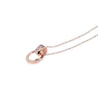 Titanium Steel Jewelry Necklace, portable, rose gold color, 42+5CMuff0c 