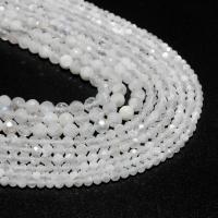Mondstein Perlen, rund, natürlich, DIY & facettierte, weiß, verkauft von Strang