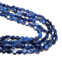 Perla De Cianita Natural, Redondo aplanado, Bricolaje, azul, 6*8mm, aproximado 48PCs/Sarta, Vendido por Sarta