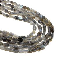 Labradorit Perlen, Ellipse, natürlich, DIY, dunkelgrau, verkauft von Strang