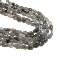Labradorite Beads, Ellipse, natural, DIY, grey, 8-10m, Approx 