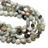 Amazonite Black Gold Bead, Aquamarine, Ellipse, natural, DIY, mixed colors 