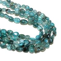 Apatite Beads, Apatites, Ellipse, natural, DIY, blue, 8-10mm, Approx 