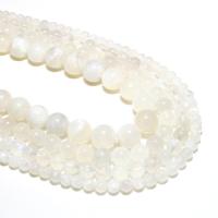 Natural Moonstone Beads, Round, DIY, white 