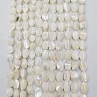 Natural White Shell Beads, with White Shell, Ellipse, polished, DIY, 8*12mm 