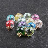 Glass Pendants, with Dried Flower, Round & DIY 16*21mm 