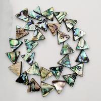 Abalone Shell Beads, Triangle, polished & DIY 14mm 