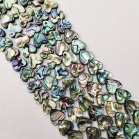 Perles coquillage d'ormeau, coquille d'ormeau, coeur, poli, différentes couleurs et motifs pour le choix & DIY, plus de couleurs à choisir, 12uff0c14mm, Vendu par brin