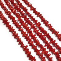 Mélange de perles de corail naturels, corail synthétique, Irrégulière, DIY, rouge, 2x5- Vendu par brin