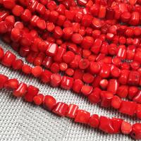 Mélange de perles de corail naturels, corail synthétique, pilier, DIY, rouge Vendu par brin