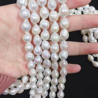 Kultivierte kernhaltige Süßwasserperlen, kultivierte Süßwasser kernhaltige Perlen, weiß, 10x12mm, Länge:ca. 14.5 ZollInch, verkauft von Strang