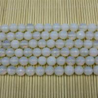 Sea Opal Beads, Round, polished, DIY red 