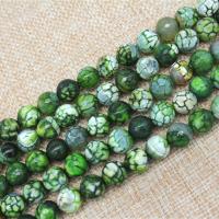 Natural Fire Agate Beads, Round, polished, DIY green 