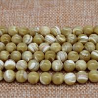 Trochus perles, Haut Coque, Rond, poli, DIY & normes différentes pour le choix, Jaune, Vendu par brin