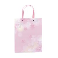 Fashion Lady Bags, Paper, durable mixed colors 