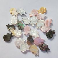 Dyed Shell Beads, Rabbit, DIY 
