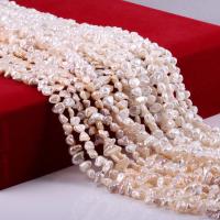 Barock kultivierten Süßwassersee Perlen, Unregelmäßige, natürlich, unterschiedliche Farbe und Muster für die Wahl & DIY, keine, 7X8MM, verkauft von Strang