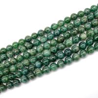 Apatite Beads, Apatites, polished, DIY, green 