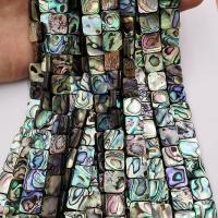 Abalone Shell Beads,  Square, polished, DIY, multi-colored, 12mm 