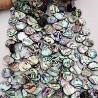 Abalone Shell Beads, Teardrop, polished, DIY, multi-colored 