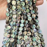 Abalone Shell Beads, Round, polished, DIY, multi-colored 