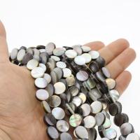 Black Shell Beads, Round, polished, DIY, multi-colored 