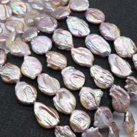 Perles nacres baroques de culture d'eau douce , perle, Irrégulière, poli, DIY, violet, 20-25*16-18mm Environ 37 cm, Environ Vendu par brin