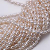 Rice Cultured Freshwater Pearl Beads, polished, DIY 2.5mm-3mm 