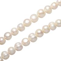 Runde Süßwasser Zuchtperlen, Perlen, natürlich, DIY, weiß, 11-12mm, verkauft von Strang