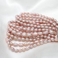 Rice Cultured Freshwater Pearl Beads, natural, purple, 3-4mm,10*7cm Approx 0.8mm Approx 15.7 Inch 