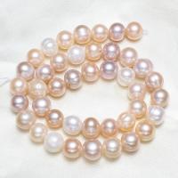 Bouton de culture des perles d'eau douce, perle d'eau douce cultivée, naturel, couleurs mélangées, 10-11mm,15*10.6cm Environ 0.8mm Environ 16 pouce, Vendu par brin