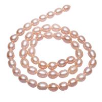Potato Cultured Freshwater Pearl Beads, natural, pink, 6-7mm,13*8cm Approx 0.8mm Approx 15 Inch 