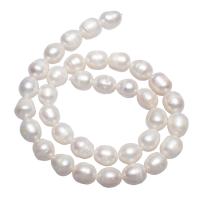 Potato Cultured Freshwater Pearl Beads, natural, white, 10-11mm,15*10.6cm Approx 0.8mm Approx 15 Inch 