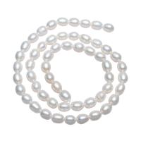 Rice Cultured Freshwater Pearl Beads, natural, white, 5-6mm,13*8cm Approx 0.8mm Approx 15 Inch 