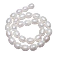 Potato Cultured Freshwater Pearl Beads, natural, white, 11-12mm,15*10.6cm Approx 2mm Approx 15.7 Inch 
