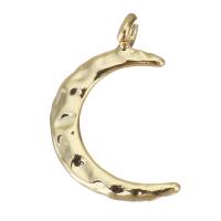 Brass Jewelry Pendants, Moon, gold color plated Approx 1.5mm 