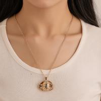 Fashion Locket Necklace, Zinc Alloy, can open and put into something & fashion jewelry 