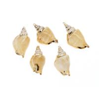 Trumpet Shell Pendant, Conch, natural, DIY, beige, 52*26*16-42*21*14mm 