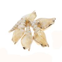 Trumpet Shell Pendant, Conch, gold color plated, DIY, beige, 77*23*16-58*23*14mm 