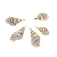Trumpet Shell Pendant, Conch, gold color plated, DIY, light purple, 25*12*10-15*5*5mm 