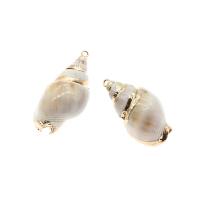 Trumpet Shell Pendant, Conch, gold color plated, natural & DIY, beige, 37*18*15-30*12*10mm 